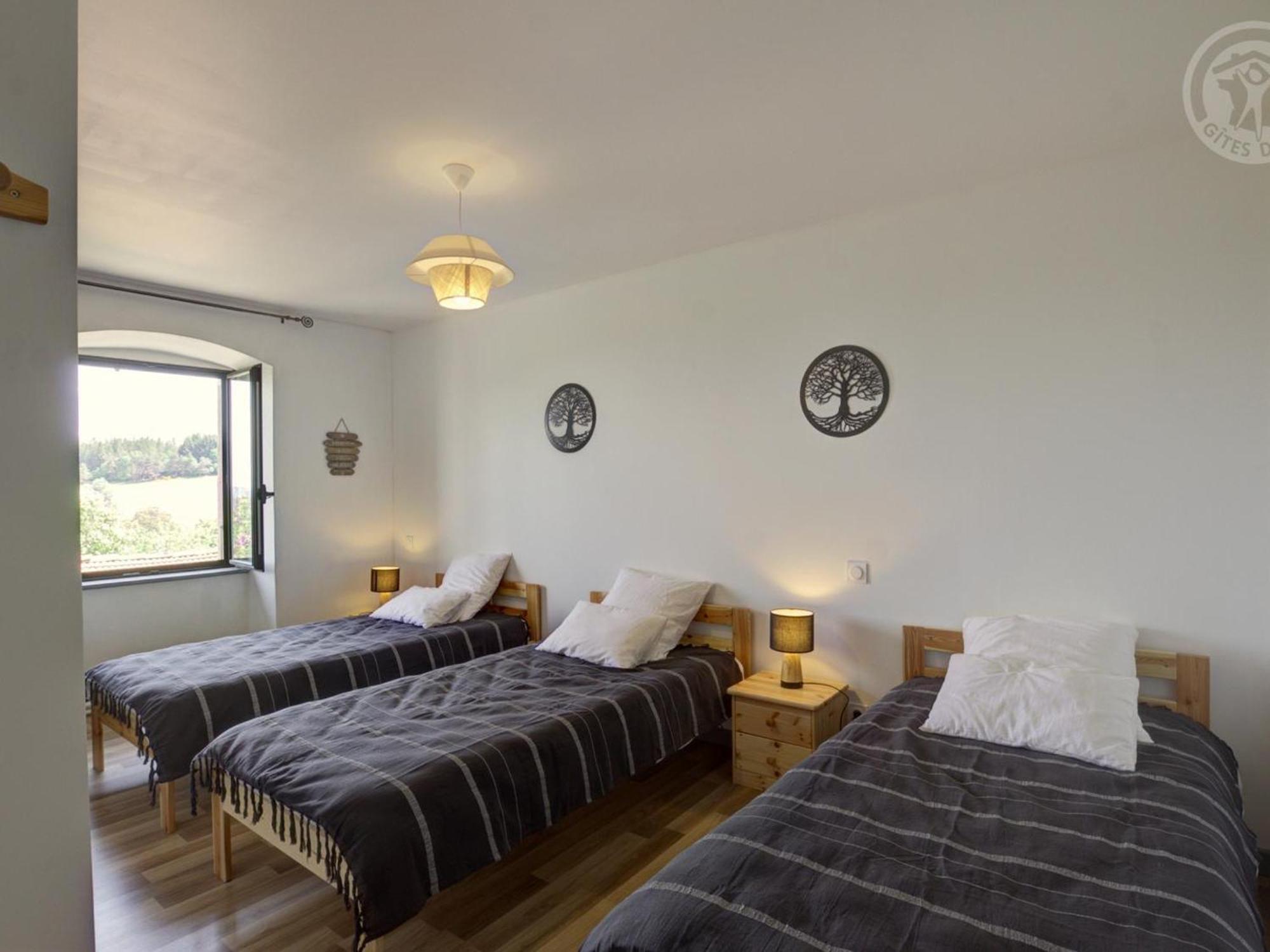 Gite De Charme Avec Jardin Et Wifi A Chalmazel-Jeansagniere - Fr-1-496-249 Exteriér fotografie